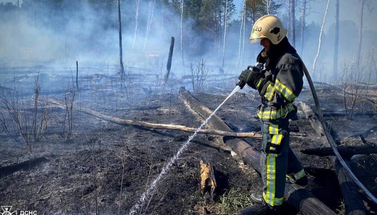 На Чернігівщині палають тисячі гектарів лісу