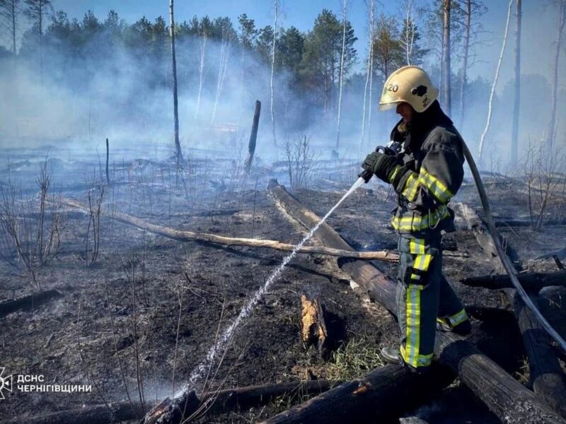 На Чернігівщині палають тисячі гектарів лісу