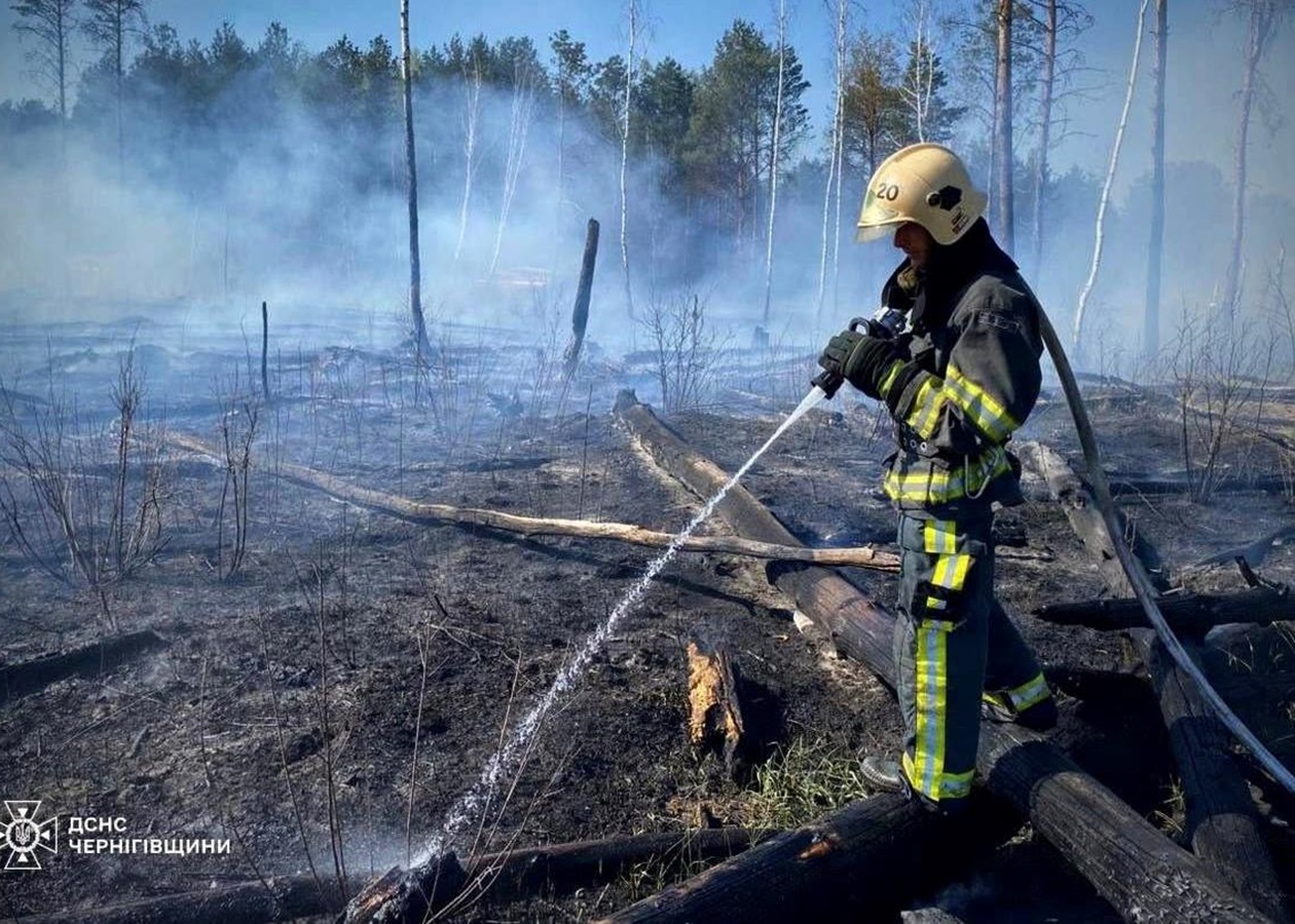 На Чернігівщині палають тисячі гектарів лісу