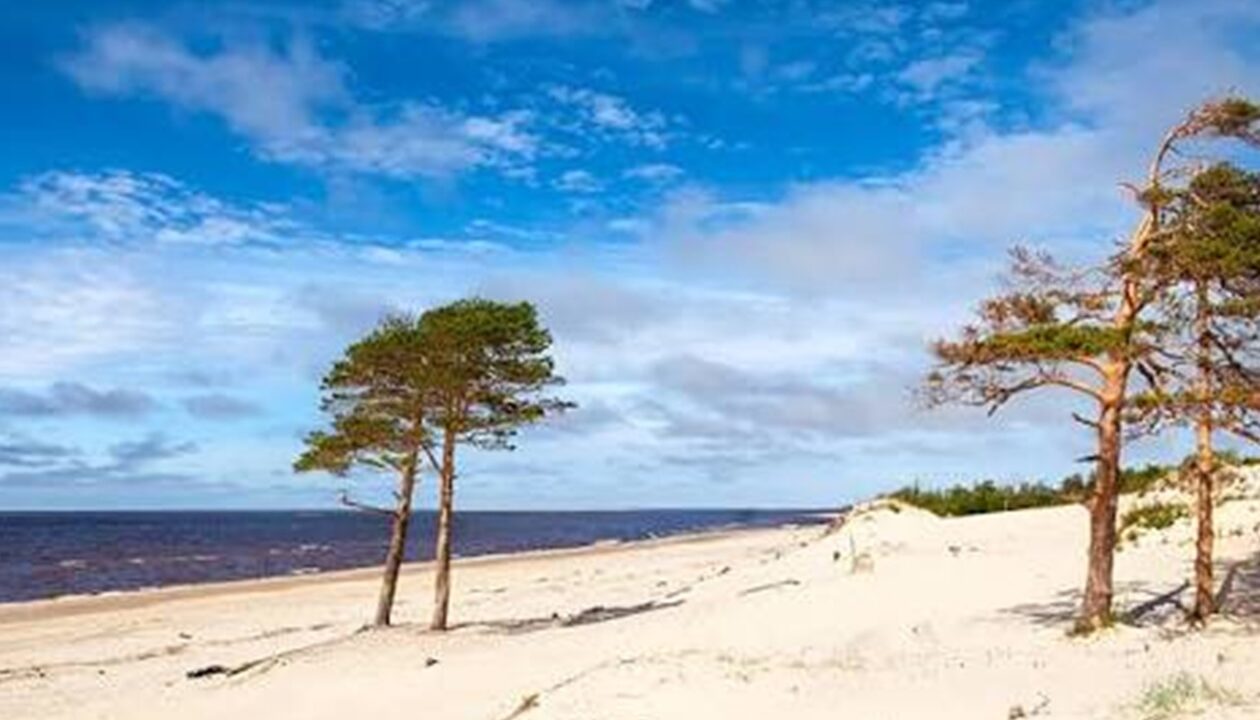 Гороскоп на 3 липня для всіх знаків Зодіаку