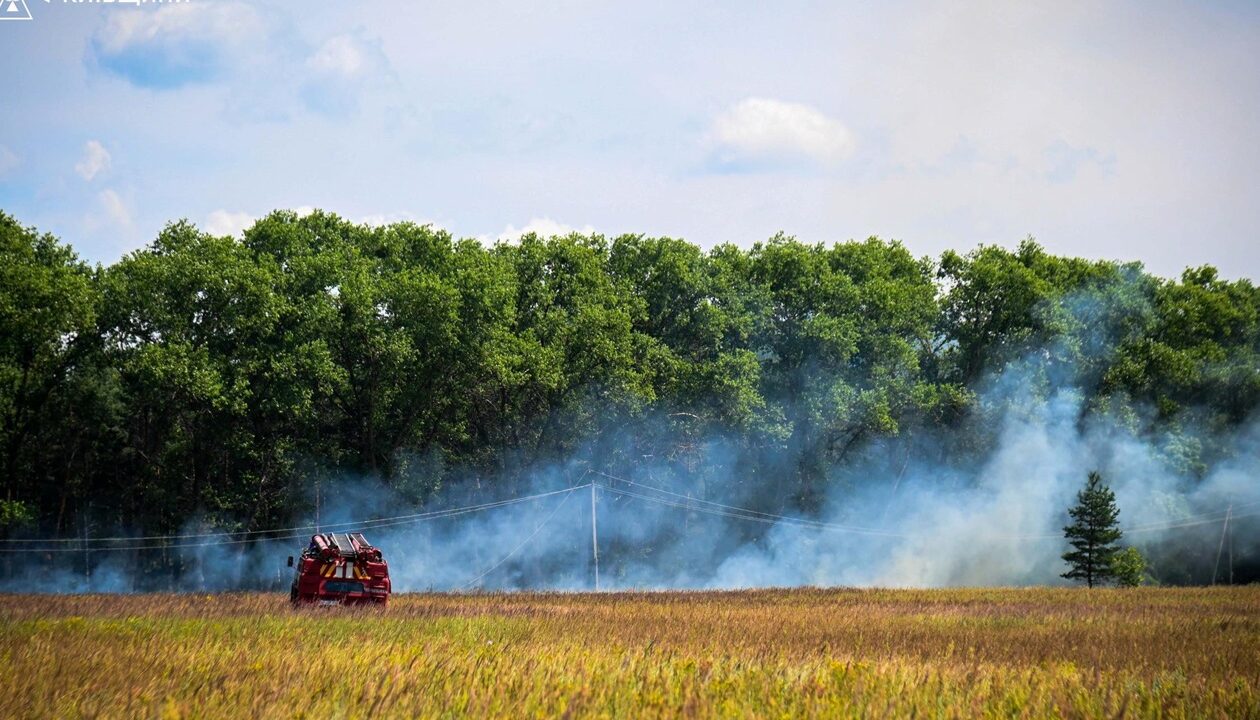 Рятувальники ліквідували пожежу у Чорнобильській зоні